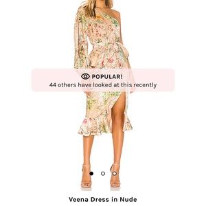 Hemant And Nandita velvet evening dress , m